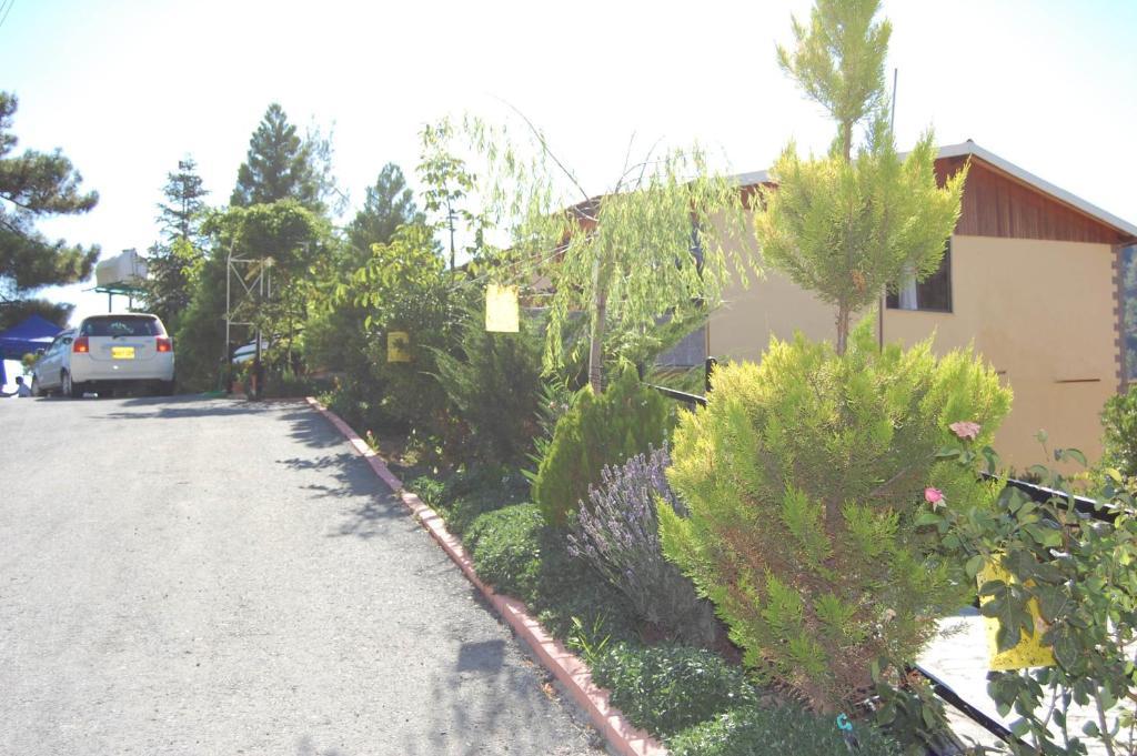Nightingale Hotel Platres Luaran gambar